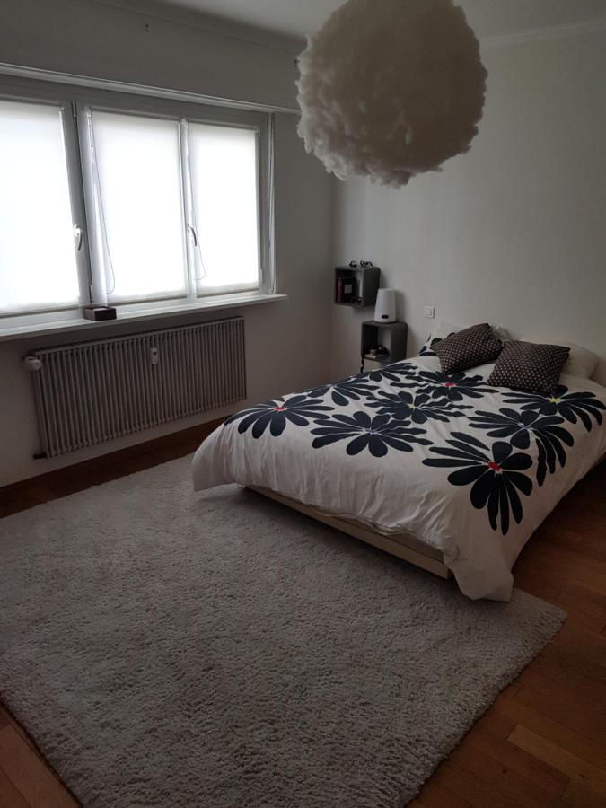 Joli Appartement Calme Et Spacieux, Proche Strasbourg Duppigheim Exterior photo
